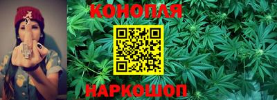 гашик Гусь-Хрустальный