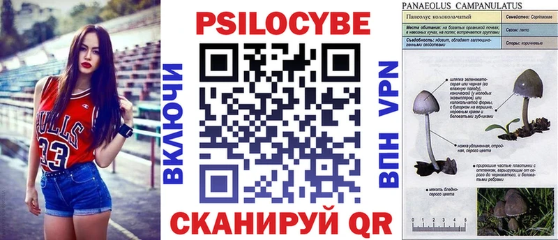 Галлюциногенные грибы Psilocybe  что такое наркотик  Наро-Фоминск 