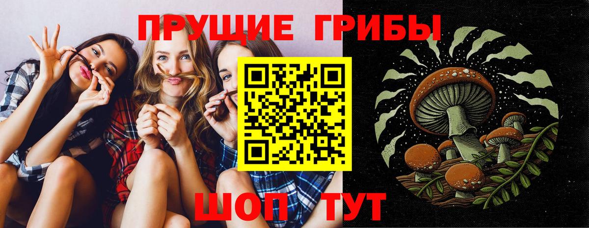 Галлюциногенные грибы GOLDEN TEACHER Наро-Фоминск