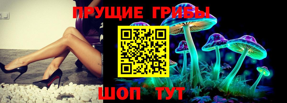 Галлюциногенные грибы MAGIC MUSHROOMS  Псилоцибиновые грибы Magic Shrooms  Наро-Фоминск  Вход с VPN 